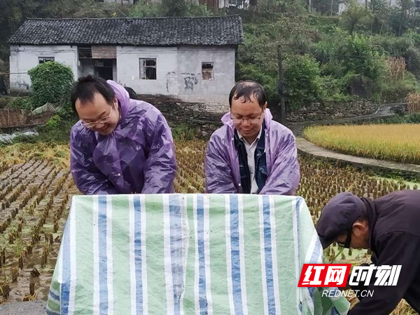 图片8.jpg