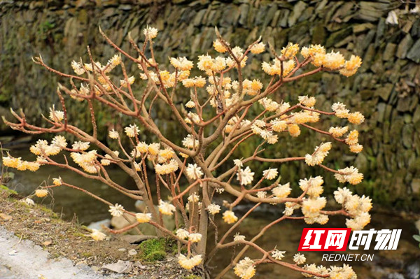 微信图片_20220304164214_副本.jpg