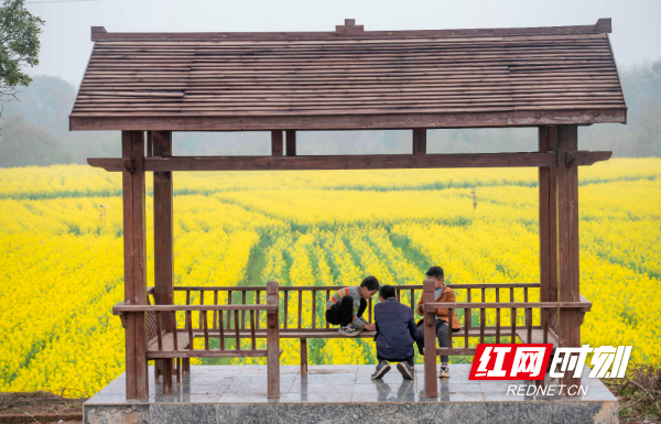 3月6日，小朋友在湖南省道县祥霖铺镇两河口村油菜花观景亭里玩耍。 (1).jpg