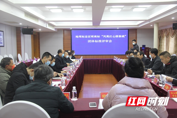 图片12.jpg