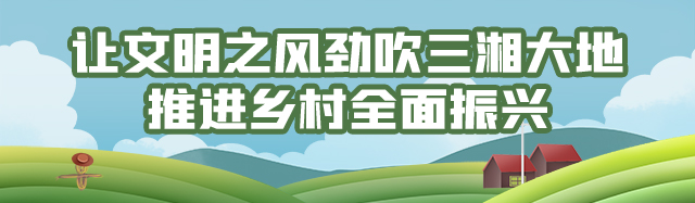 坚决扛稳粮食安全责任 奋力推进乡村全面振兴
