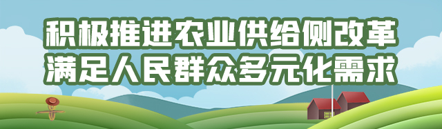 坚决扛稳粮食安全责任 奋力推进乡村全面振兴