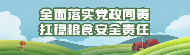 坚决扛稳粮食安全责任 奋力推进乡村全面振兴