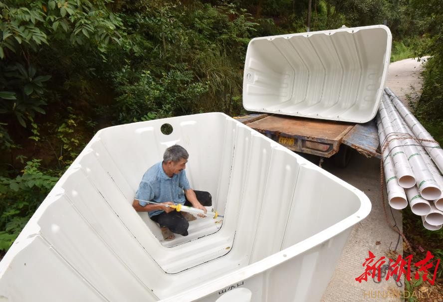坚决扛稳粮食安全责任 奋力推进乡村全面振兴