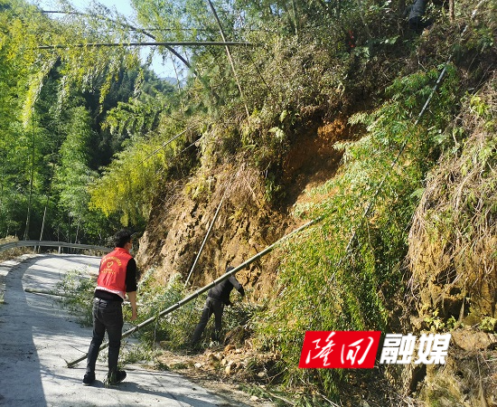 2022030803.jpg 2022030803.jpg