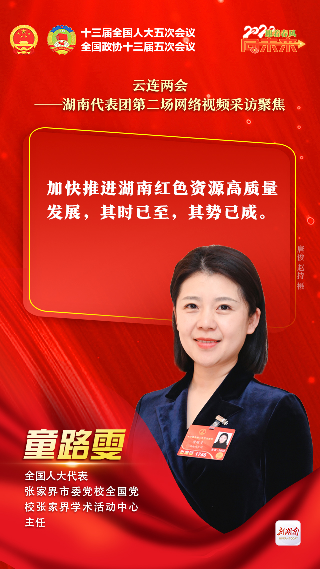海报｜“云”上话未来！湖南团5位代表个个有妙招