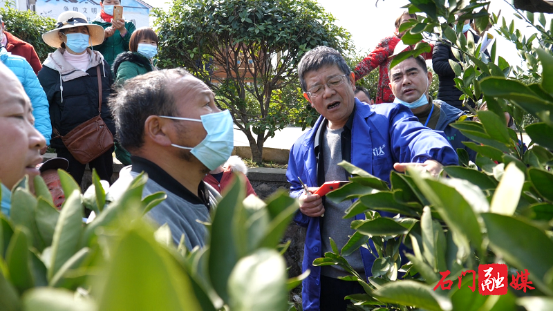 微信图片_20220309111136.png 微信图片_20220309111136.png