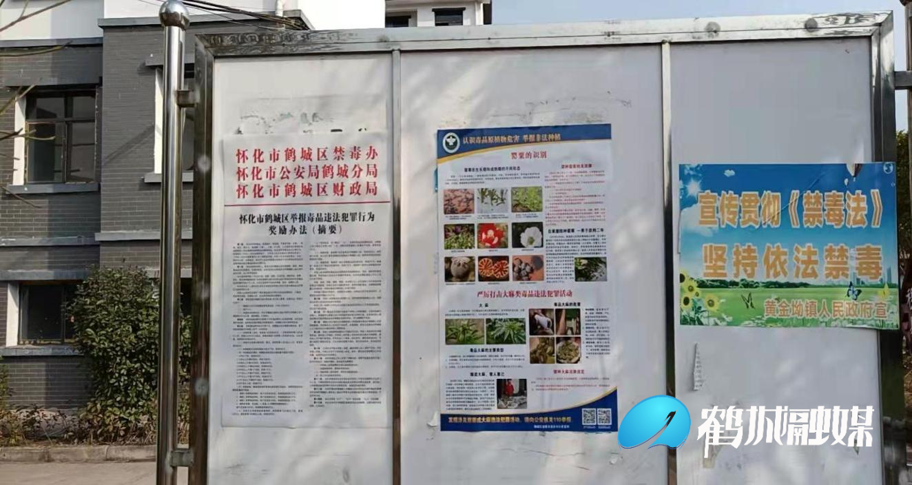 图片20.png