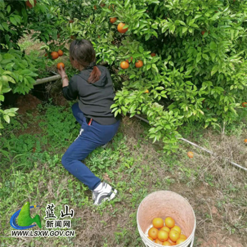 1646888851(1).jpg 1646888851(1).jpg