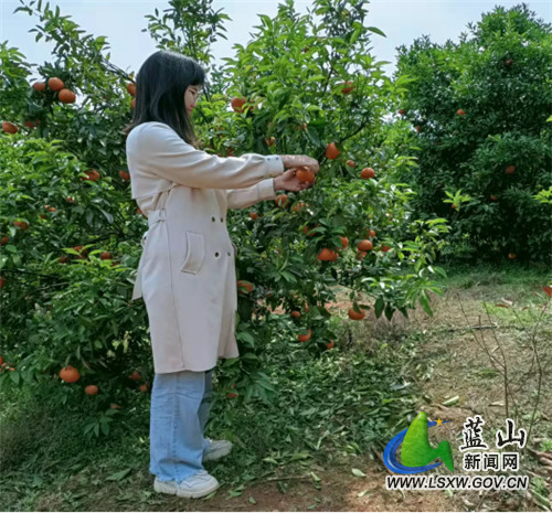 1646888858(1).jpg 1646888858(1).jpg