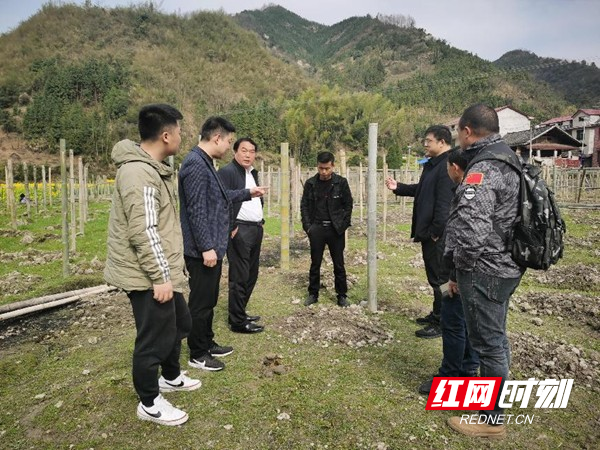 图片16.jpg