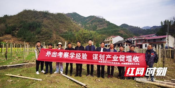 图片17.jpg
