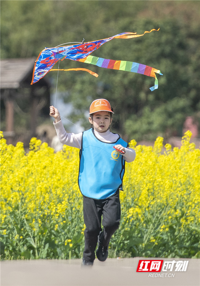 3月9日，湖南省永州市道县祥霖铺镇两河口村油菜花基地，老师和小朋友一起放风筝。 (16).jpg