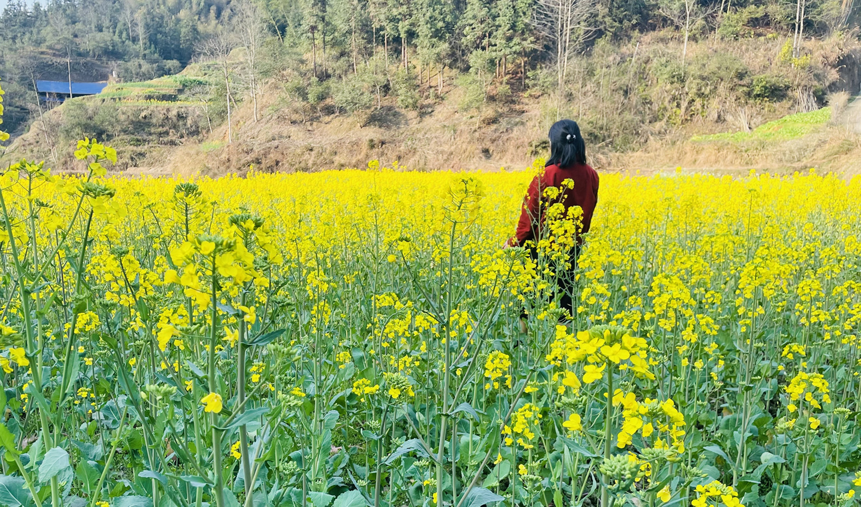 花儿闹，人儿笑图片.jpg