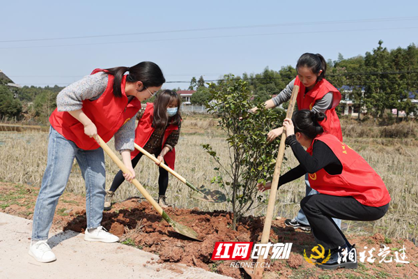 图片1 植树_副本.png