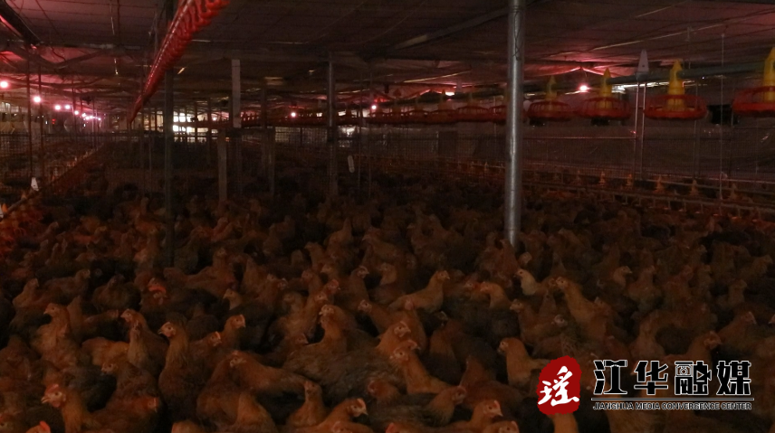 微信截图_20220311101750.png