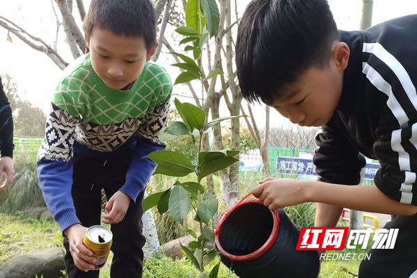 1605班贺正煜和谭子彧同学正在精心的呵护小树苗_副本.jpg