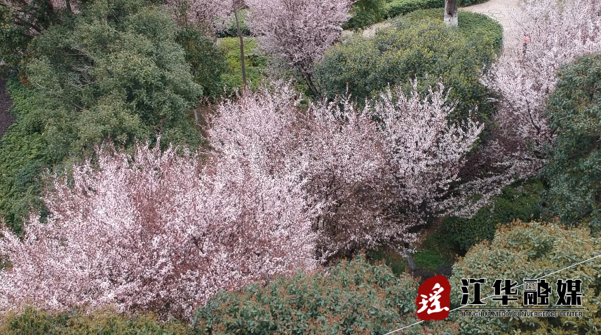 微信截图_20220311150112.png