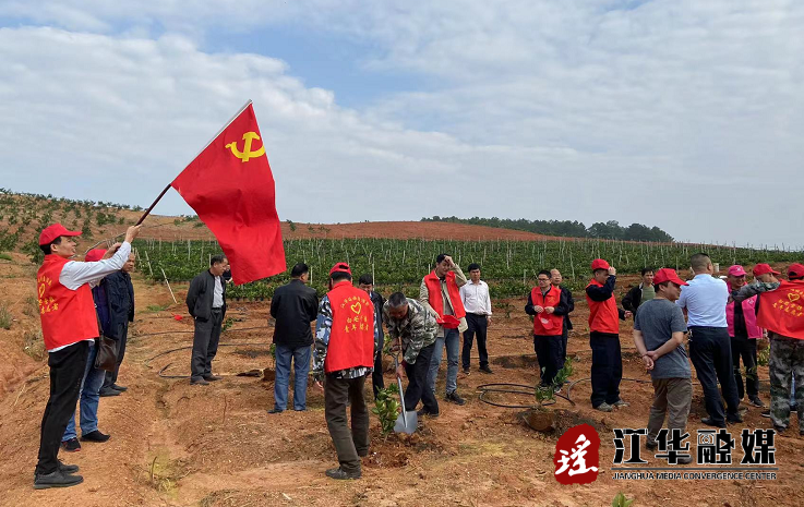 微信截图_20220311155824.png