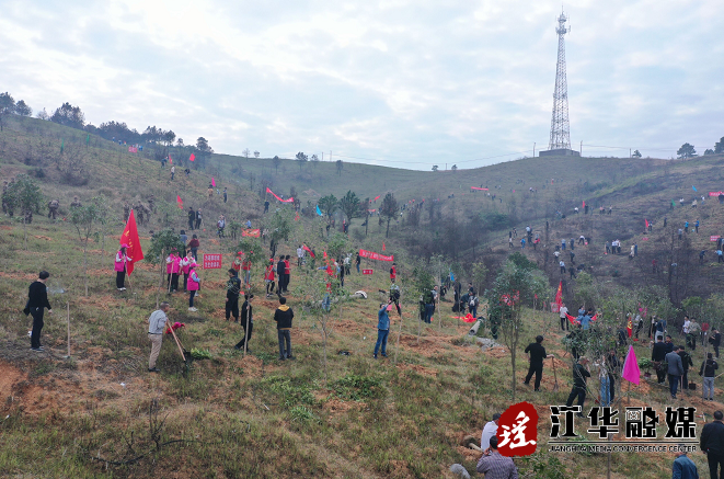 微信截图_20220311161118.png