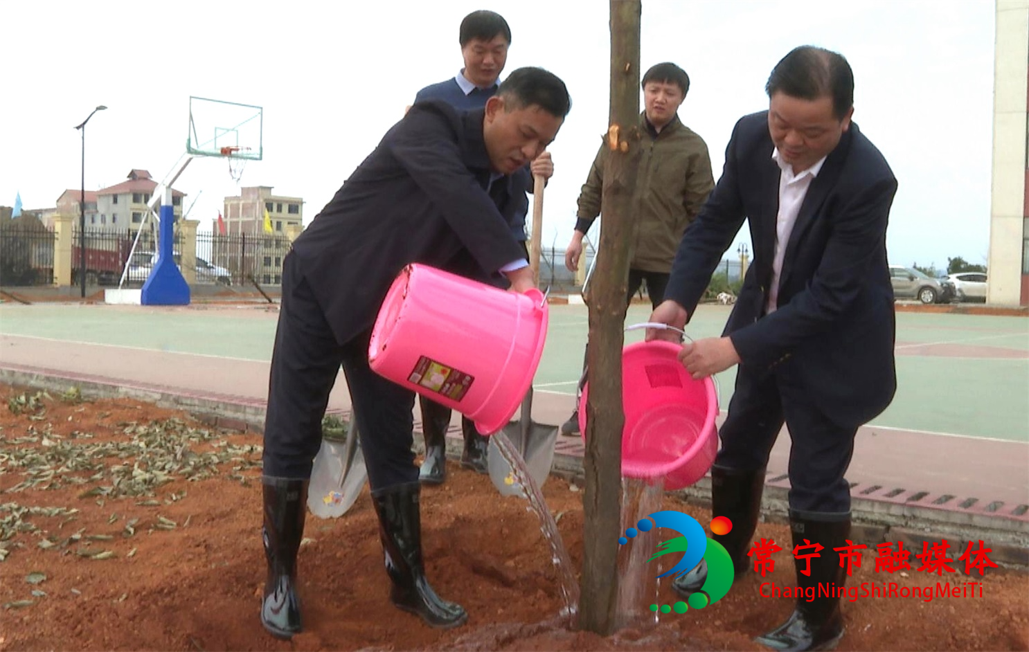 植树倒水.jpg