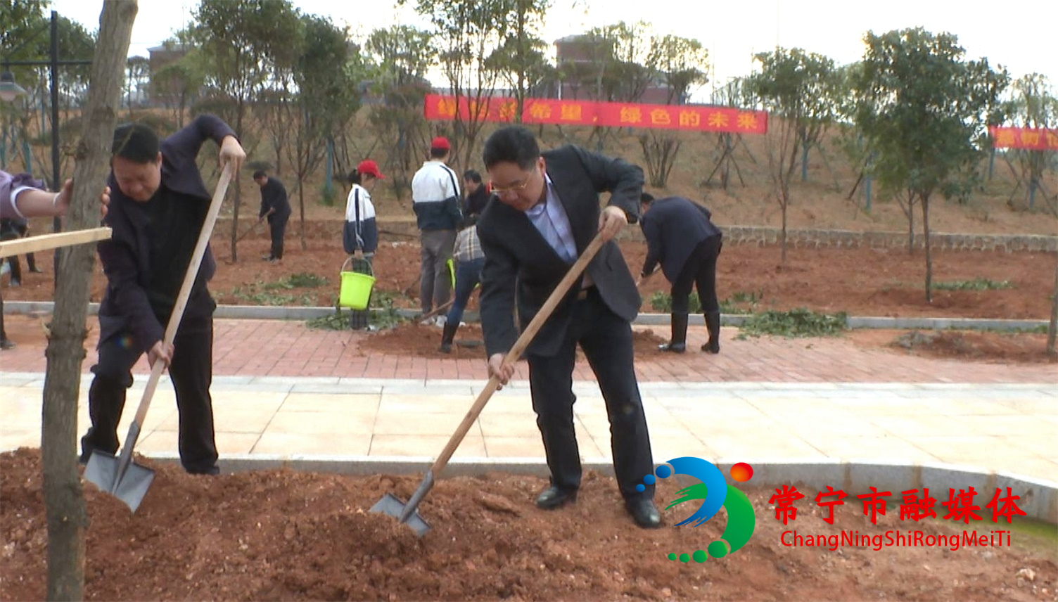 市长植树.jpg