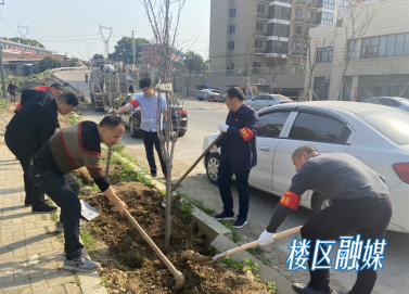 微信图片_202203111215425.png