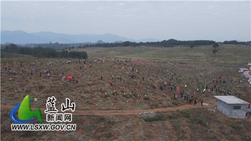 我县600余名干群植树添绿.jpg