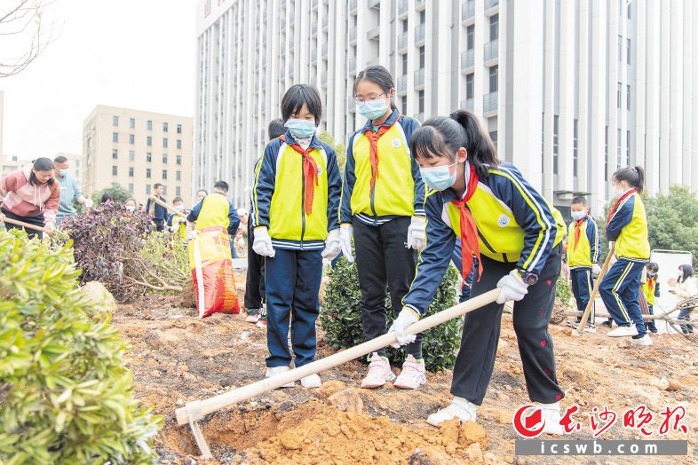 　　孩子们植树有板有眼。长沙晚报通讯员 刘润泽 摄