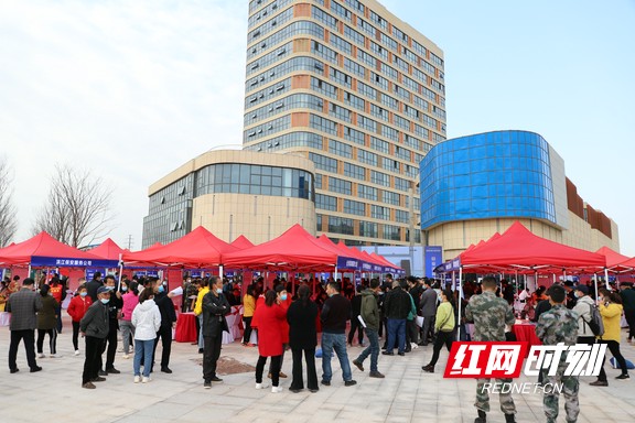 d2a4db511607dcb072540b4c144ca31.marked.jpg