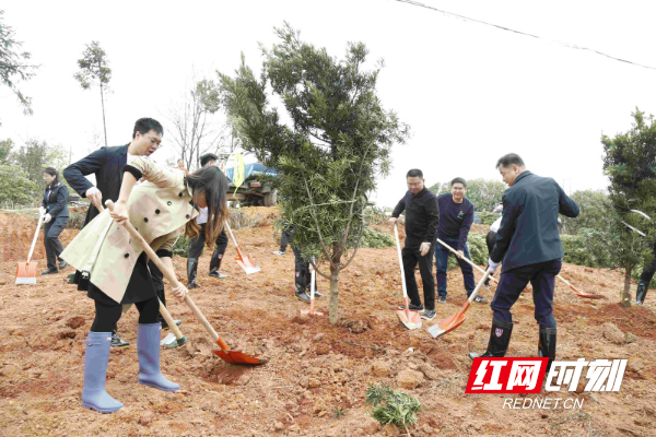 c864ee7a15be428d25f92f3c66ce213.jpg c864ee7a15be428d25f92f3c66ce213.jpg