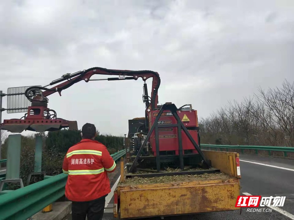 修剪绿植.jpg 修剪绿植.jpg