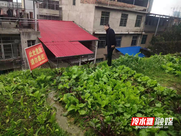冷水灘區(qū)楊家橋街道開展禁種鏟毒踏查行動(dòng)1.jpg