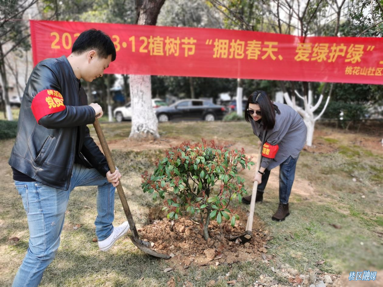图片31.png