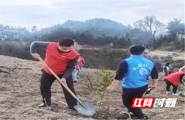 图片7.jpg