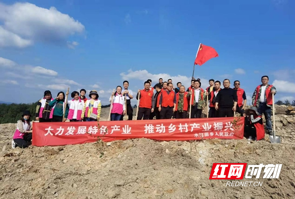 图片10.jpg