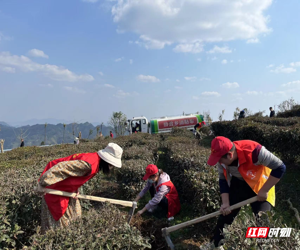 995d8d53cd8b6e70461e482e9fcf94a.jpg 995d8d53cd8b6e70461e482e9fcf94a.jpg