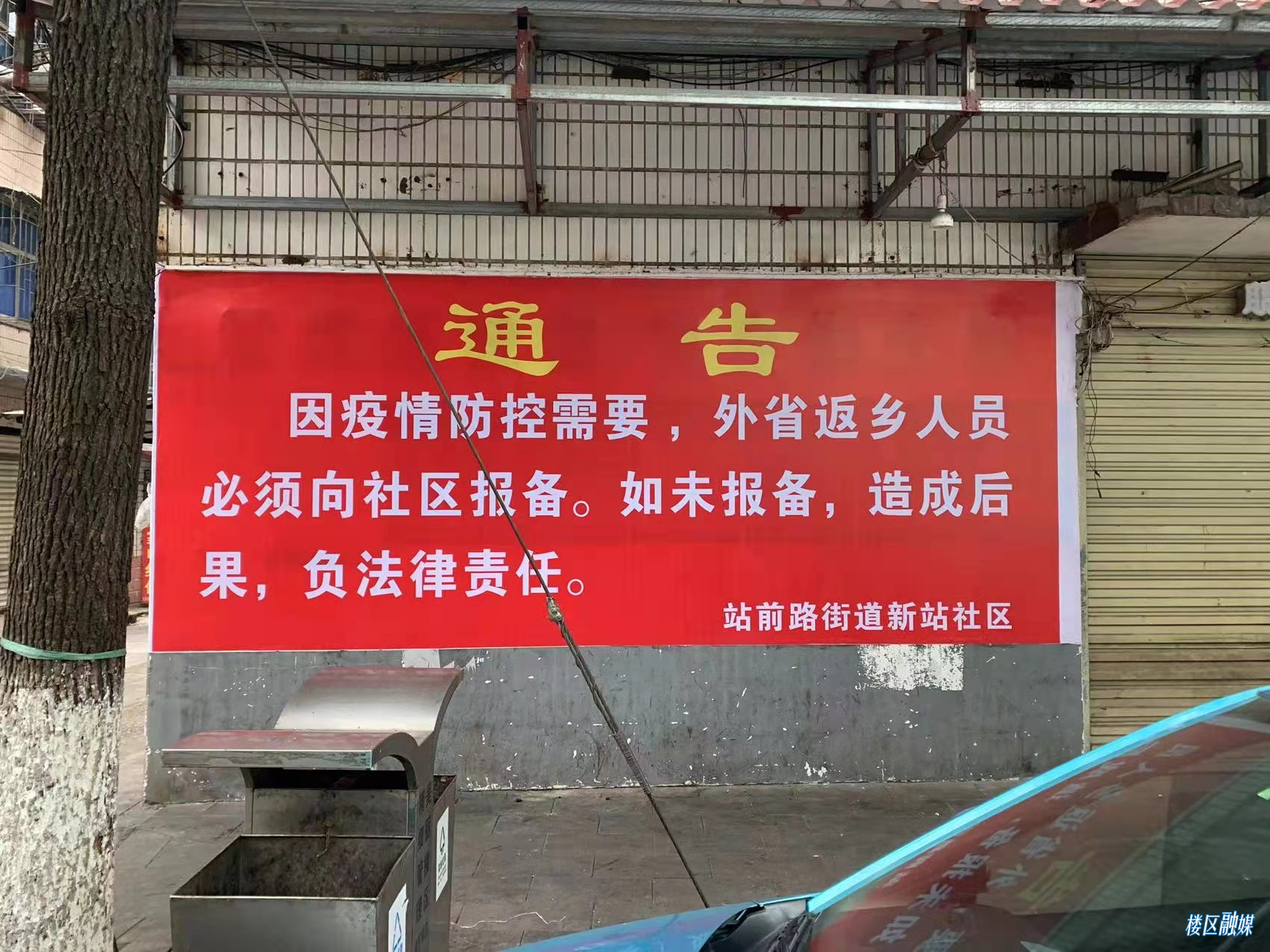 报4.png