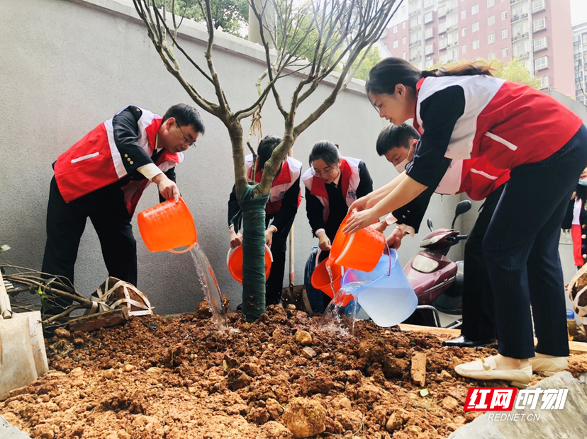 长沙海关青年志愿者把“树”植到社区治理中