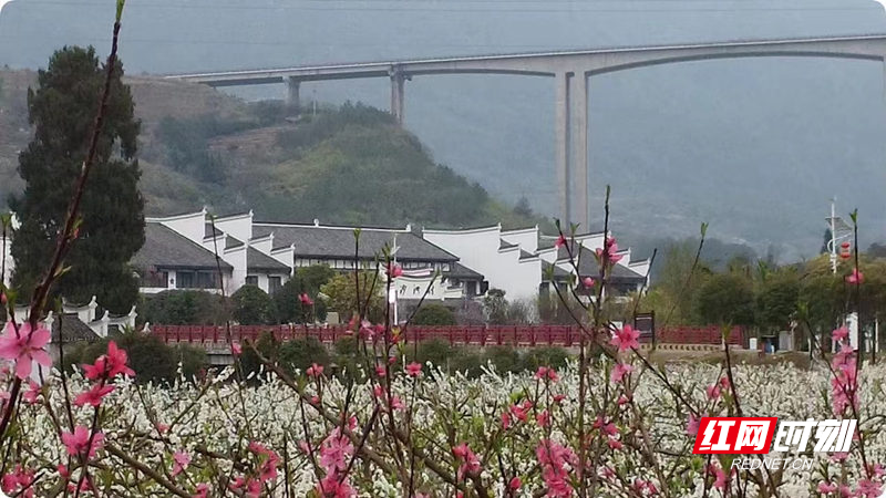 4f9cc507dec32845ec4fb21f5386c11_副本.jpg 4f9cc507dec32845ec4fb21f5386c11_副本.jpg