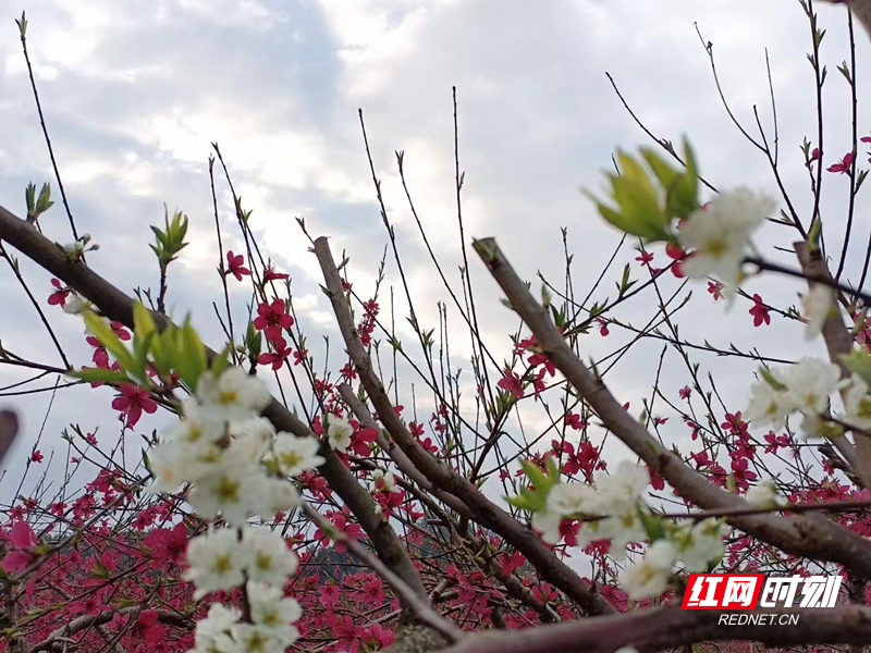 60fa9b528f4c925cd6043654dba6f08_副本.jpg 60fa9b528f4c925cd6043654dba6f08_副本.jpg