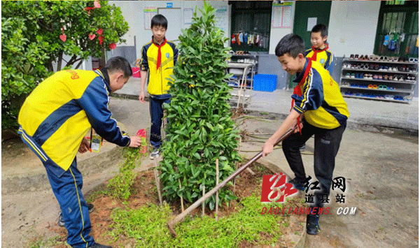 朝阳小学小小植树能手联合植树添绿.gif