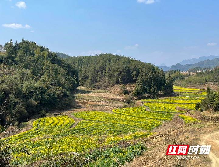 0F70744F-52CE-46EE-A869-D2B531778464.jpeg 0F70744F-52CE-46EE-A869-D2B531778464.jpeg