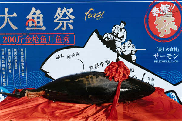深海味觉诱惑：长沙运达喜来登酒店超200斤金枪鱼开鱼仪式举行