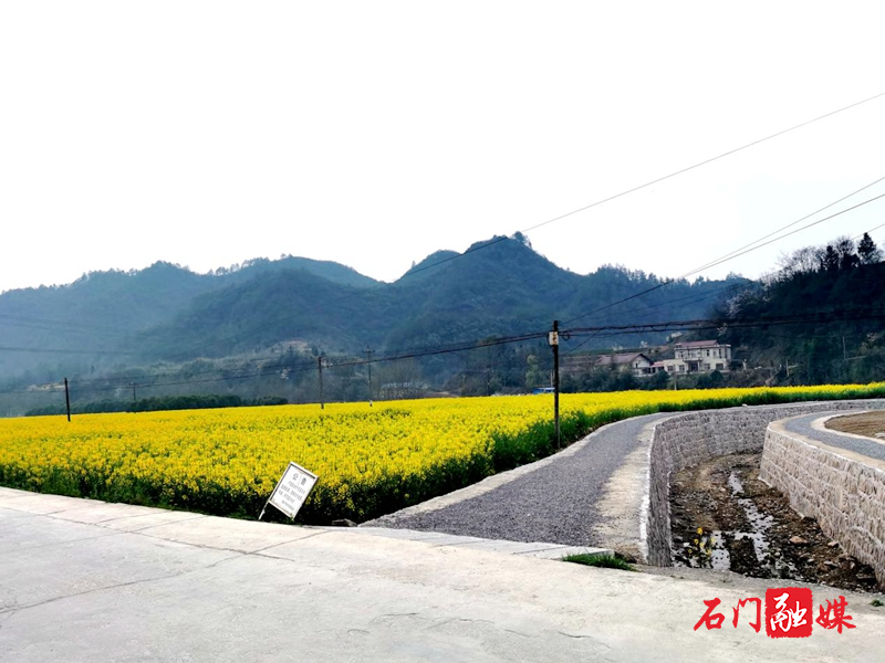 子良1.jpg