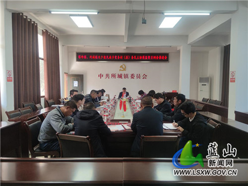 蓝山县:推进党务村务民主协商监督月例会全覆盖.jpg 蓝山县:推进党务村务民主协商监督月例会全覆盖.jpg