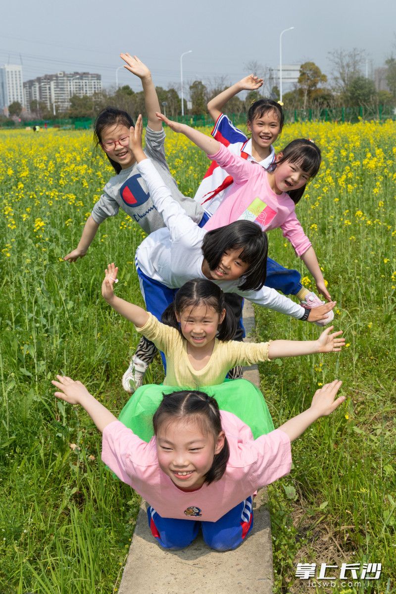 3月12日，湖南农业大学油菜花基地花开正盛，大量市民前来踏赏游玩，感受美好春光。长沙晚报全媒体记者 董阳 摄