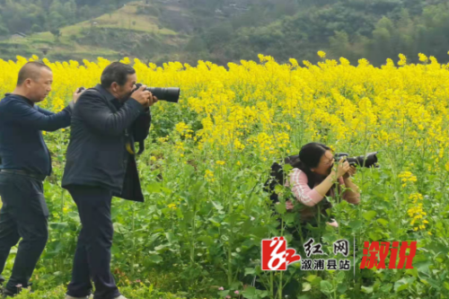 图片2(1).png