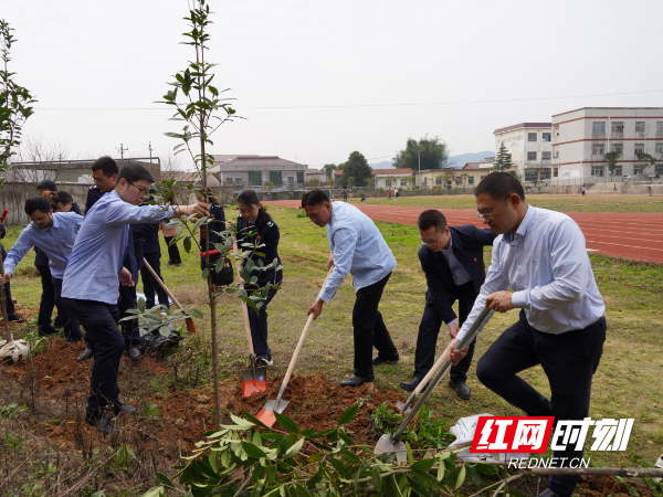 0315 1宁乡 植树.jpg