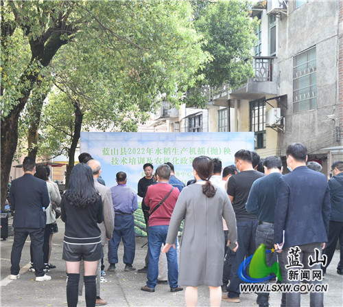 我县水稻生产机械化突出补短板，多举措.jpg